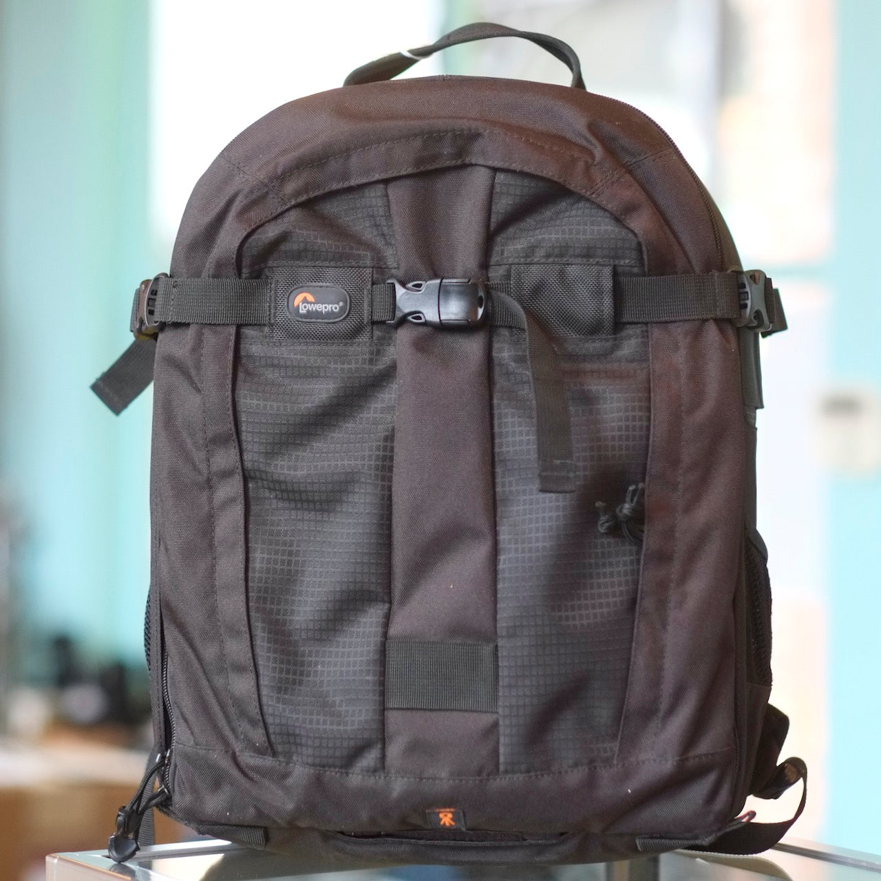 Lowepro Pro Runner 300AW