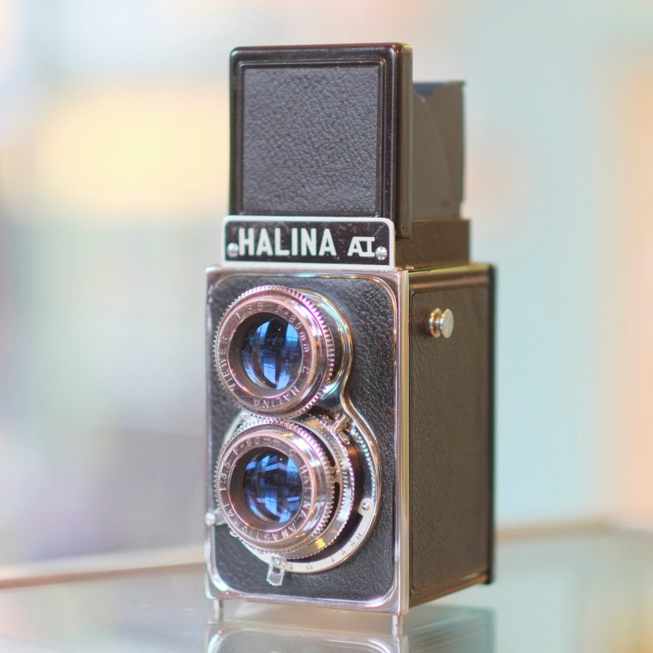 Halina AI - Main Image