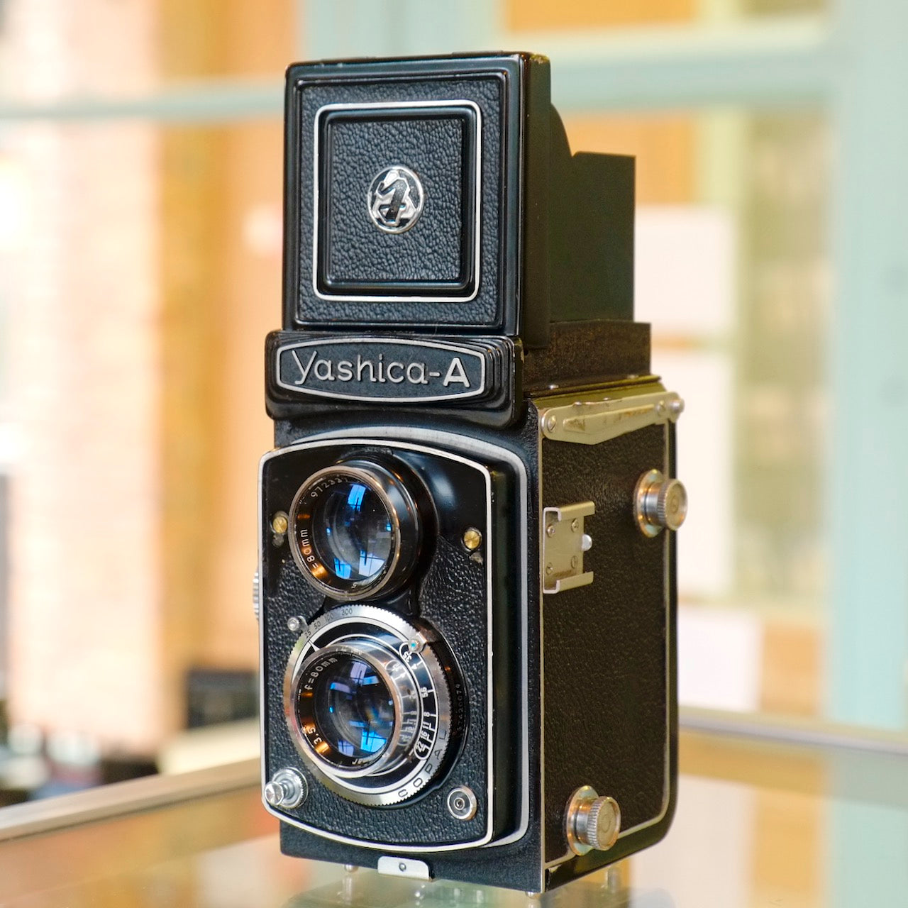 Yashica A