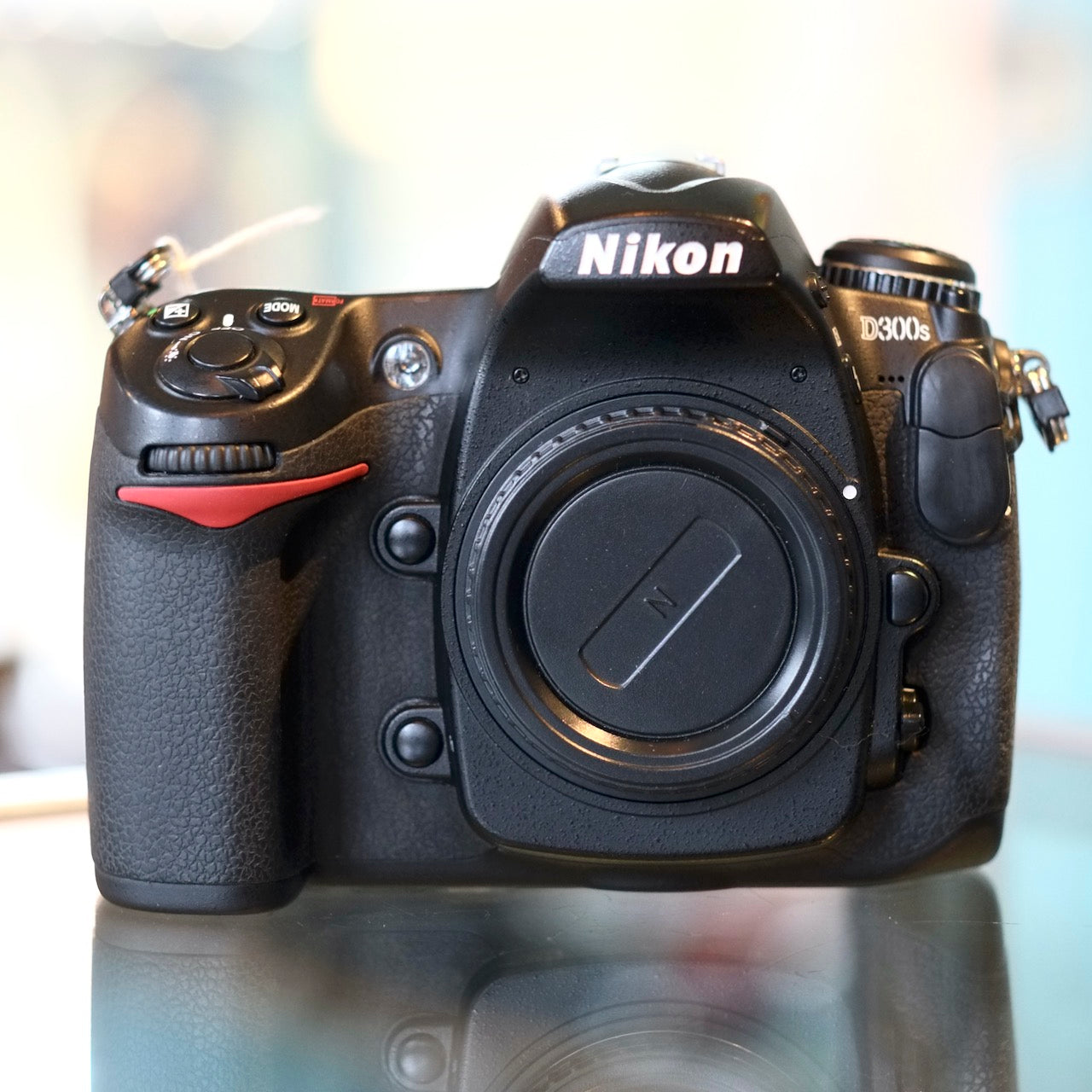 Nikon D300s