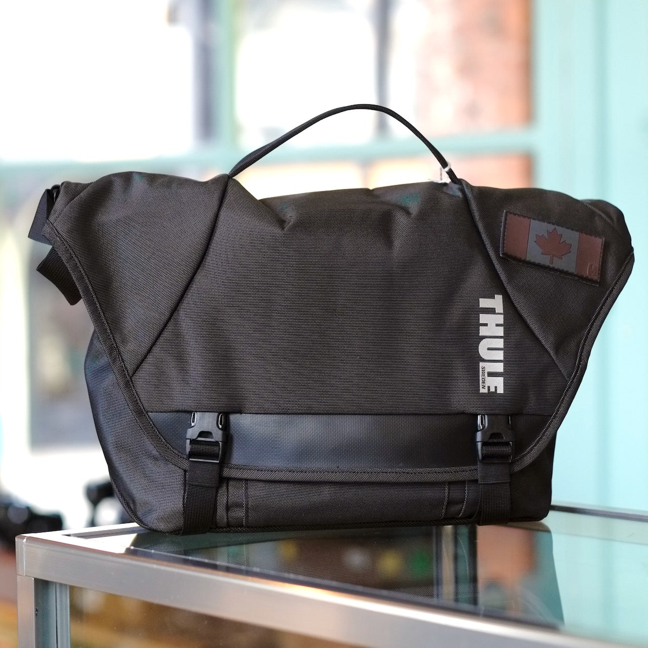 Thule camera bag