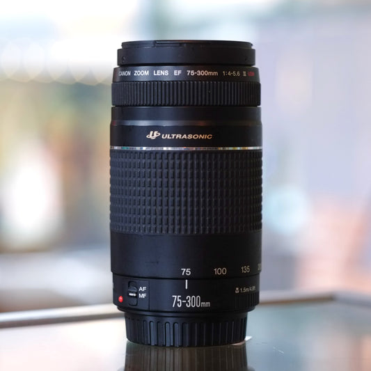 Canon EF 75-300mm f4-5.6 III