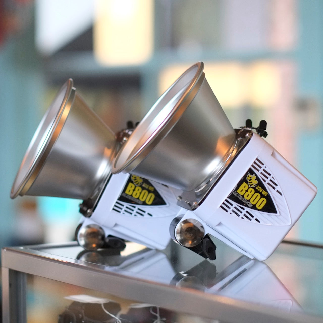 Alien Bees B800 (2 light kit with radio trigger)