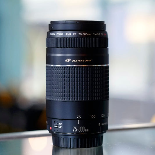 Canon EF 75-300mm f4-5.6 III