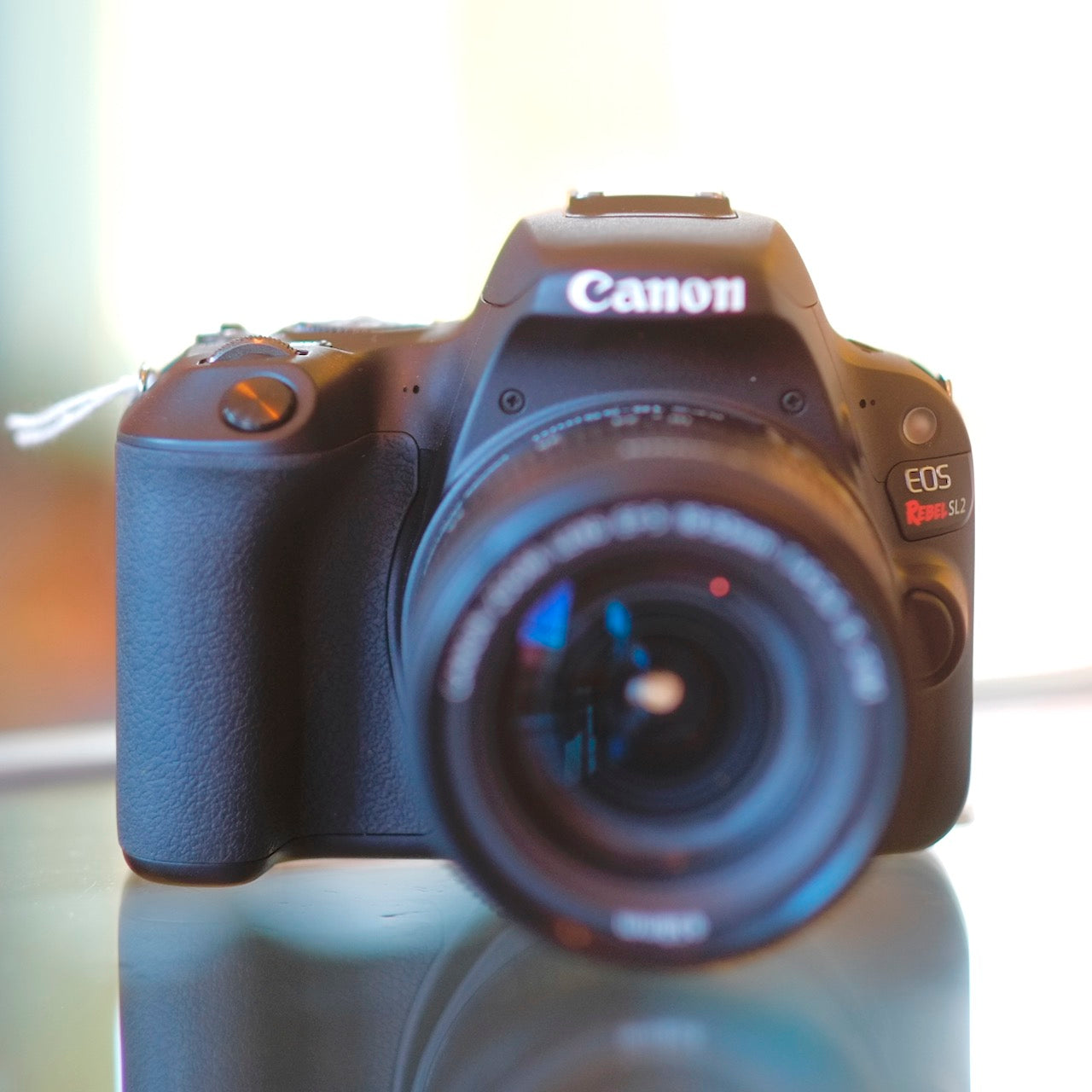 Canon EOS Rebel SL2 with 18-55mm f3.5-5.6 IS STM