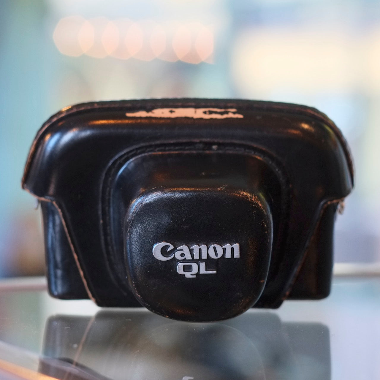 Everready case for Canon QL17/19 (big body)