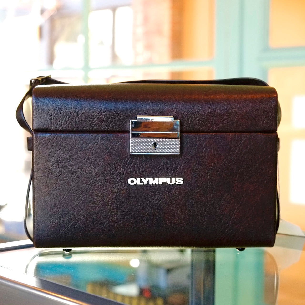 Olympus camera case
