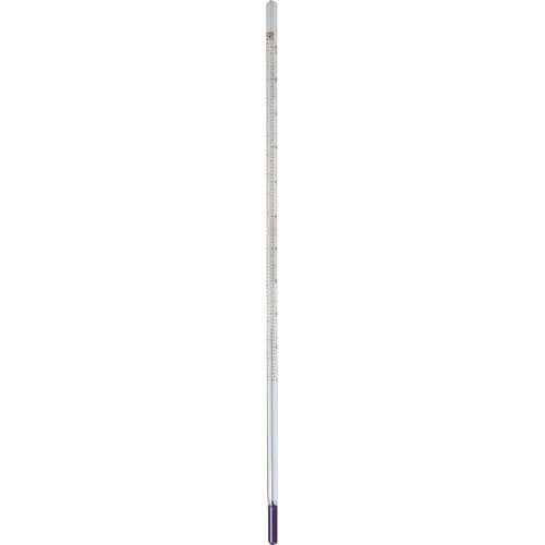 Paterson 12” Thermometer